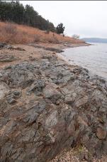 Girl looking for fossils