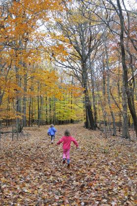 Exploring near the Weis Ecology Center, NJ